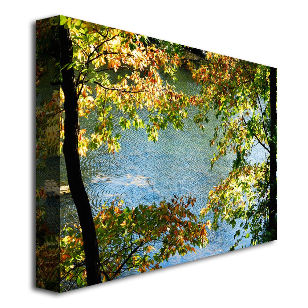 EARLY！キャンバスアート Amazon｜Trademark Fine Art Early Fall Along the River Kurt Shaffer